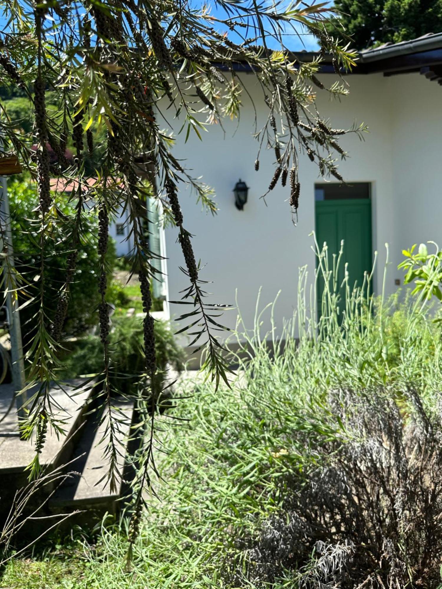 Casa Del Custode: Renovated Flat With Garden In A Villa Near The Lake Stresa Bagian luar foto